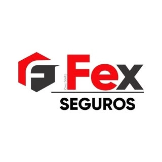 Logotipo da empresa FEX