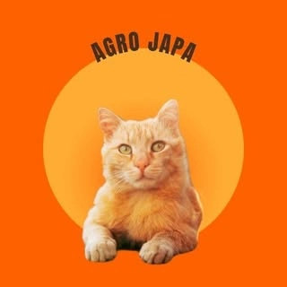 Logotipo da empresa AGRO JAPA