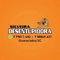Logotipo da empresa PINTURAS E DESENTUPIDORA SILVEIRA
