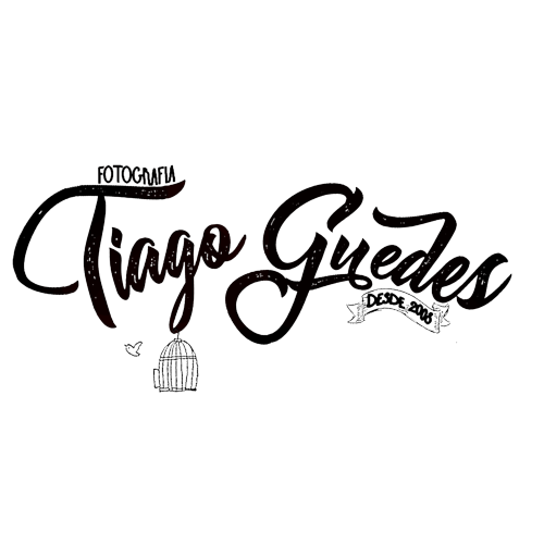 Logotipo da empresa HOMING LED