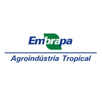 Logotipo da empresa AEE FORTALEZA