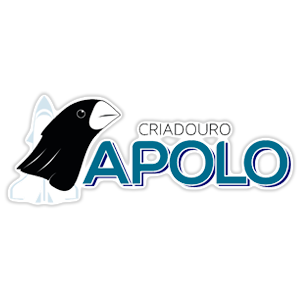 Logotipo da empresa CRIADOURO APOLO