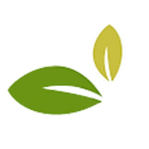 Logotipo da empresa LAGUNA SPE