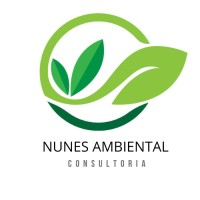 Logotipo da empresa NUNES AMBIENTAL ASSESSORIA