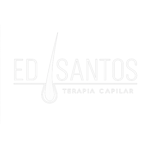 Logotipo da empresa EDILANDI SANTOS