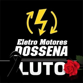 Logotipo da empresa ELETRO MOTORES DOSSENA