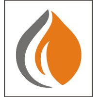 Logotipo da empresa PROFEM SOLUCOES