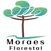 Logotipo da empresa MORAES FLORESTAL COMERCIO DE MADEIRAS
