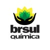 Logotipo da empresa BRSUL
