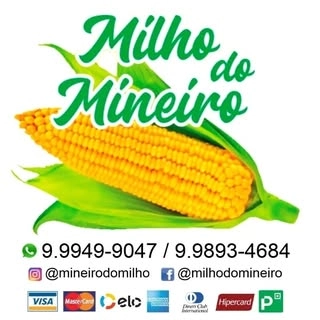 Logotipo da empresa MILHO DO MINEIRO