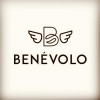 Logotipo da empresa BENEVOLO ALIMENTOS