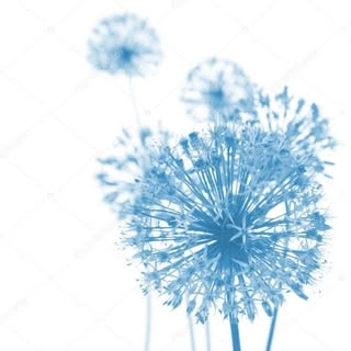 Logotipo da empresa PESQUE E SOLTE DO THOMAS