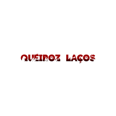 Logotipo da empresa QUEIROZ LACOS