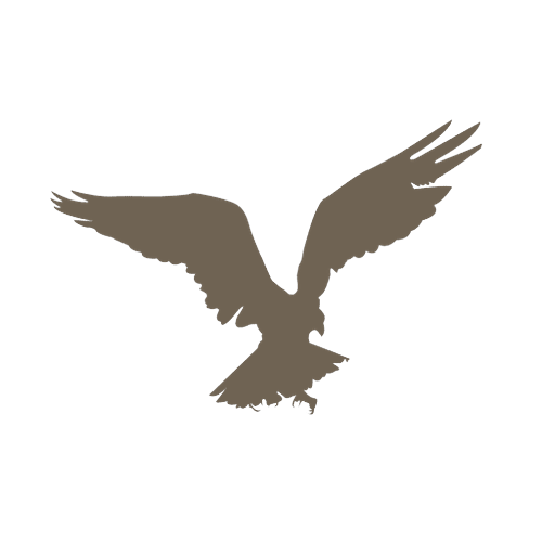 Logotipo da empresa RABONI