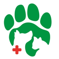 Logotipo da empresa PEDRO HENRIQUE MOTTA FURQUIM