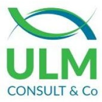 Logotipo da empresa DLM CONSULTORIA & ASSESSORIA