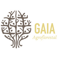 Logotipo da empresa NIKOLAS SAMUEL RODRIGUES PEREIRA