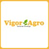 Logotipo da empresa VIGOR AGRO