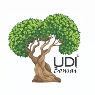 Logotipo da empresa UDI BONSAI