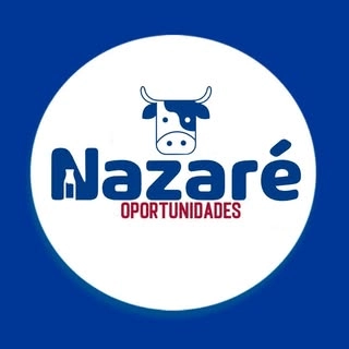 Logotipo da empresa LATICINIOS