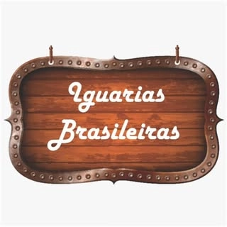 Logotipo da empresa CYNTHIA FORNAZIER