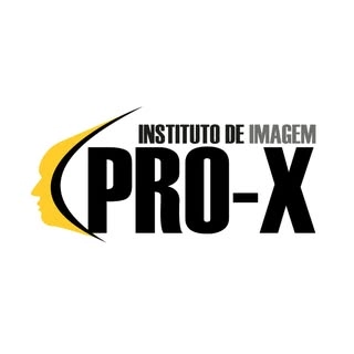 Logotipo da empresa INSTITUTO FOSHAN