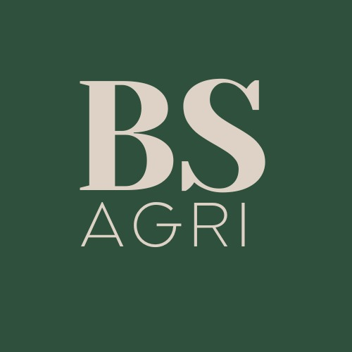 Logotipo da empresa BS - BARTELS SERVICES