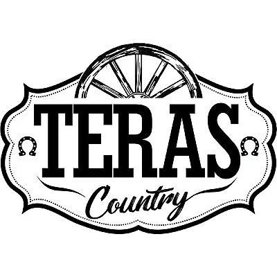 Logotipo da empresa TERAS KINGS
