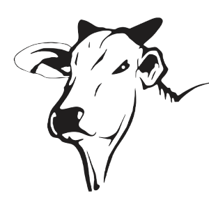Logotipo da empresa TRANSVN LOGISTICA LTDA