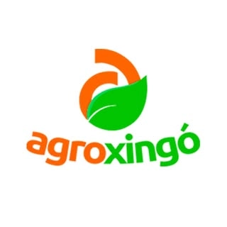 Logotipo da empresa AGRO XINGO