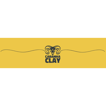 Logotipo da empresa WILIAN CLAY WACHAK LTDA