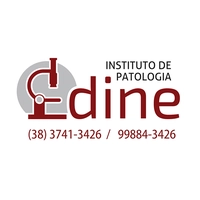 Logotipo da empresa INSTITUTO APE