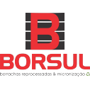 Logotipo da empresa BORSUL