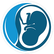 Logotipo da empresa BAHIA NORTE SAUDE