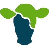 Logotipo da empresa LG CURSOS LTDA