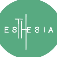 Logotipo da empresa ESTHESIA