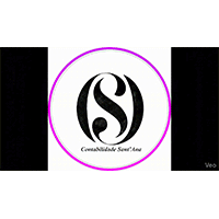 Logotipo da empresa SANT'ANA COMERCIAL E CONTABIL