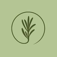 Logotipo da empresa NALTER VICENTE MACIEL SANTOS