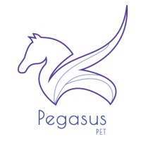 Logotipo da empresa PEGASUS