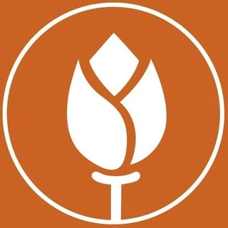 Logotipo da empresa DITOSA BOUTIQUE