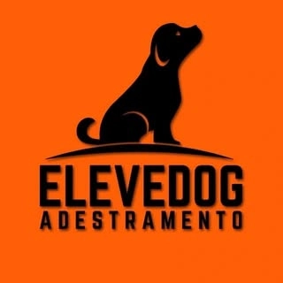 Logotipo da empresa ELEVEDOG ADESTRAMENTO