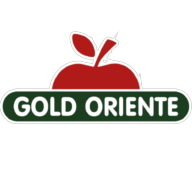 Logotipo da empresa GOLD ORIENTE