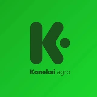 Logotipo da empresa KONEKSI