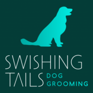 Logotipo da empresa CATUPORANGA GERACAO DE ENERGIA LTDA