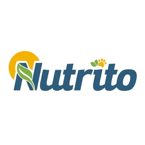 Logotipo da empresa JMT EMPREENDIMENTOS E PARTICIPACOES LTDA