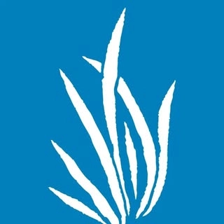 Logotipo da empresa SINGULAR PHARMA