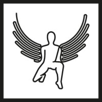 Logotipo da empresa ICCAROS