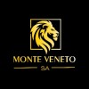 Logotipo da empresa MONTE VENETO S.A.
