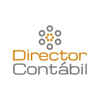 Logotipo da empresa DIRECTOR ASSESSORIA CONTABIL