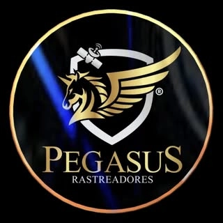Logotipo da empresa PEGASUS RASTREADORES